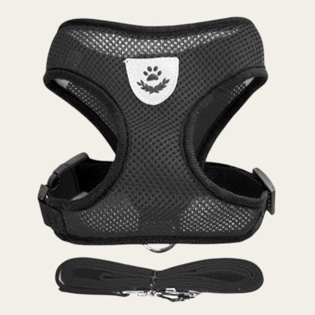 Ensemble harnais et laisse Pelorie en maille noire respirante pour chien et chat avec écusson patte réfléchissant