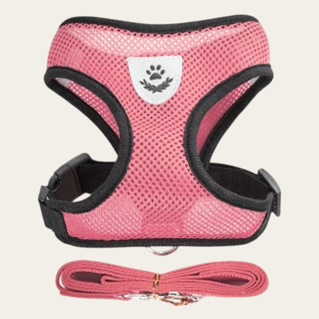Ensemble harnais et laisse Pelorie en maille rose respirante pour petit chien ou chat avec écusson réfléchissant