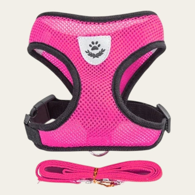 Ensemble harnais et laisse Pelorie en maille rose respirante pour chien et chat avec écusson réfléchissant
