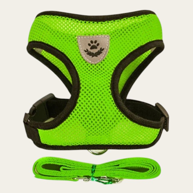 Ensemble harnais et laisse Pelorie en maille respirante vert fluo pour chien et chat avec écusson réfléchissant