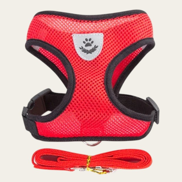Ensemble harnais et laisse rouge en maille respirante Pelorie pour chien et chat avec écusson réfléchissant