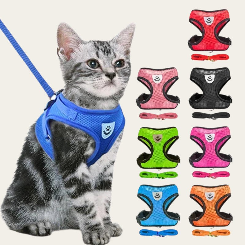 Harnais Pelorie en maille respirante avec laisse assortie pour chat gris portant le modèle bleu