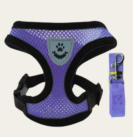 Ensemble Pelorie violet composé d'un harnais en maille respirante avec écusson réfléchissant et d'une laisse assortie