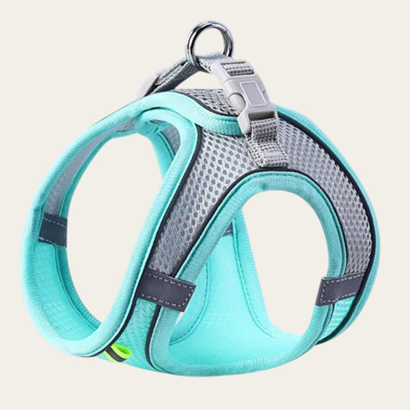 Harnais Pelorie bleu turquoise respirant avec bandes réfléchissantes pour chien et chat