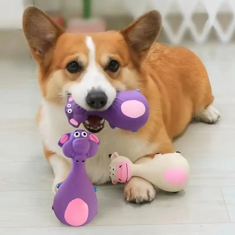 Chien corgi jouant avec des figurines Pelorie en caoutchouc souple violet et beige pour petits et moyens chiens