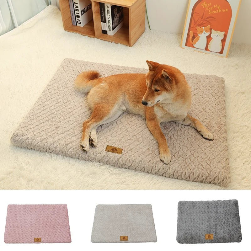 Chien Shiba Inu couché sur un lit orthopédique Pelorie en mousse 3D beige à texture gaufrée sur un tapis blanc