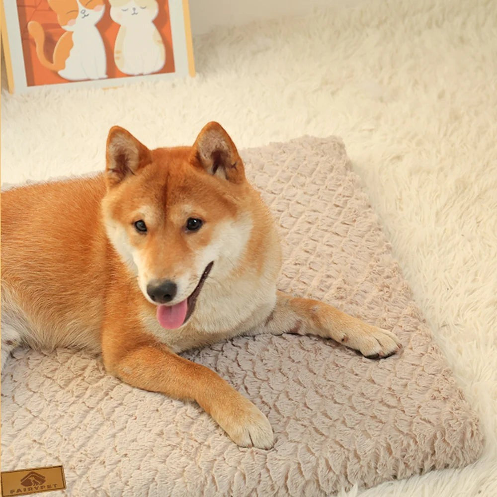 Chien Shiba Inu allongé sur un lit orthopédique Pelorie en mousse 3D beige à texture douce et confortable