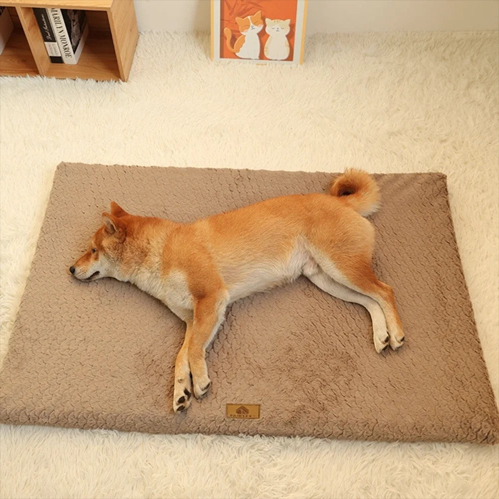 Chien couché sur un lit orthopédique Pelorie en mousse 3D marron à mémoire de forme sur un tapis blanc