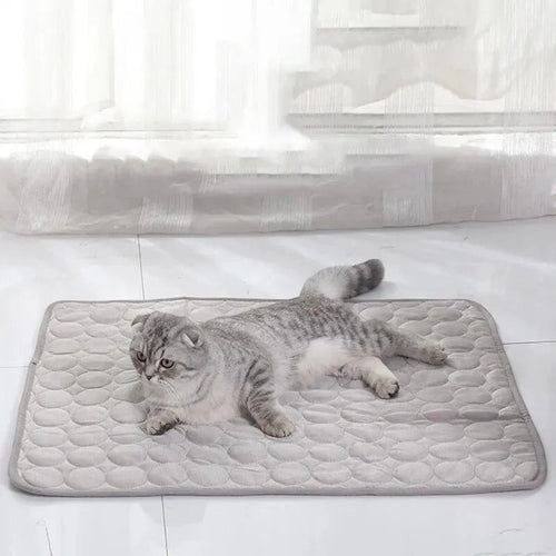 Chat gris allongé sur un tapis rafraîchissant Pelorie gris à motif matelassé circulaire sur un sol blanc