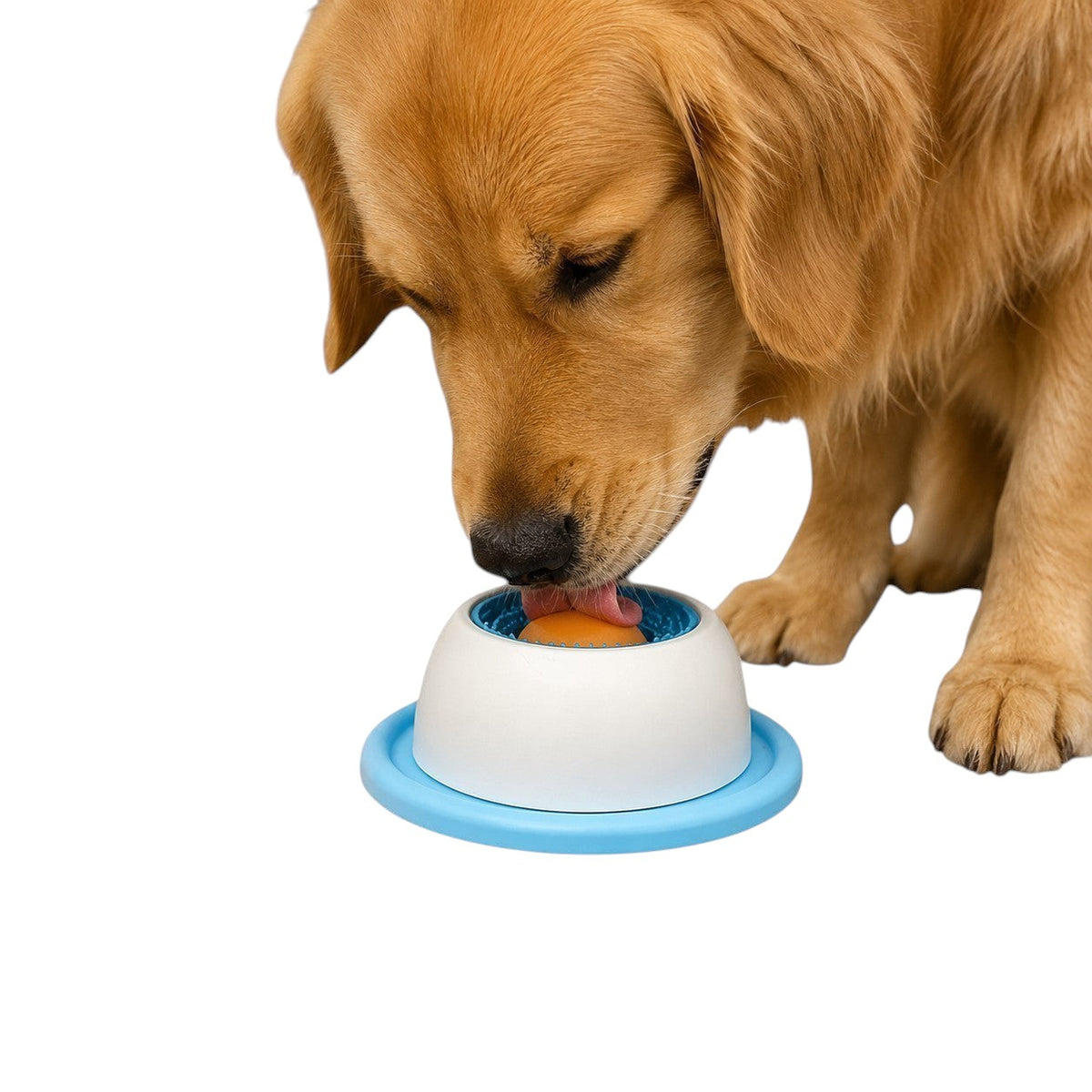 Chien Golden Retriever léchant un tapis à lécher Pelorie bleu et blanc en silicone pour ralentir la prise alimentaire